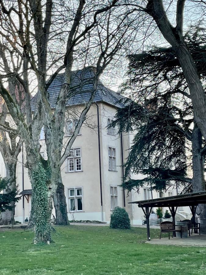 Bed And Breakfast Le Chateau De Morey Belleau ภายนอก รูปภาพ
